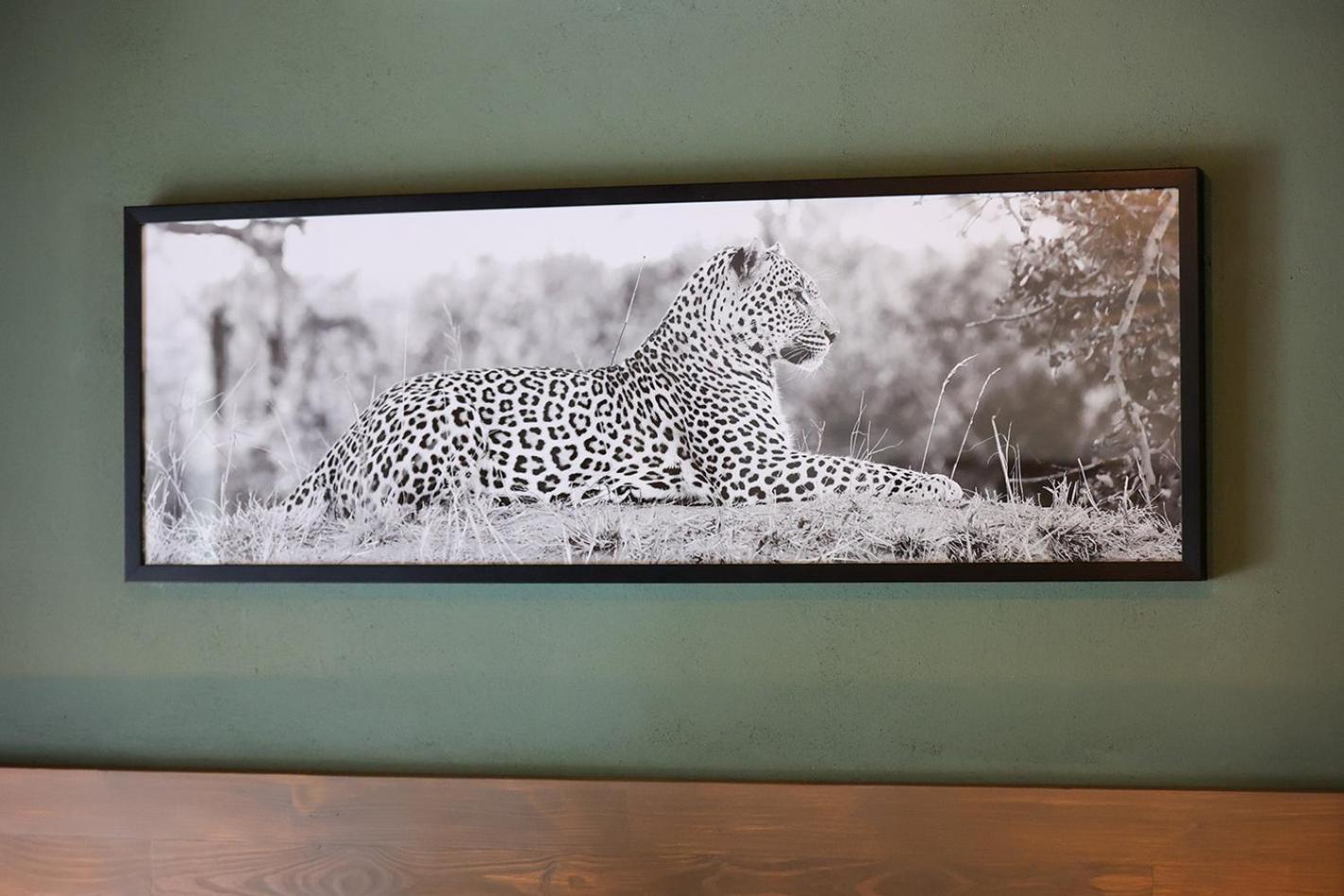 Tomo Safari Lodge Ходспруит Стая снимка